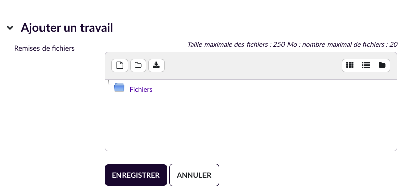 Interface du dépôt de fichier