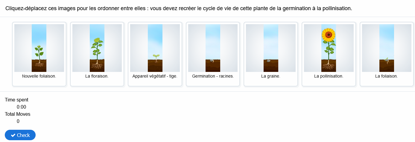 Exemple d&#39;une activité de séquence d&#39;images : cycle de vie d&#39;une plante